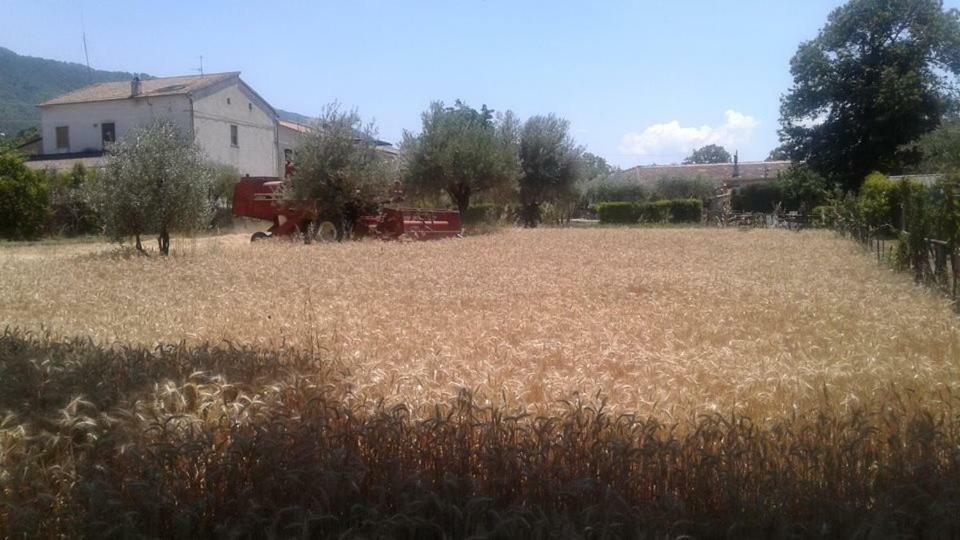 Agriturismo Tre Santi Villa Padula Exterior foto